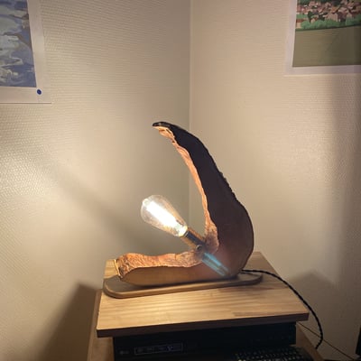 Img 7260